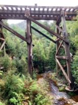 Oude brug in het regnwoud
