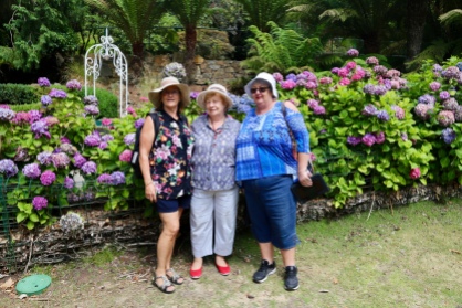Karen, Barbara en Margareth bij de Hortensia’s, hier in Australia een bijzondere bloem