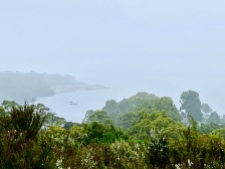 Verregend uitzicht over de baai van Strahan