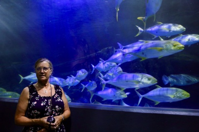 Margareth in het Melbourne Aquarium