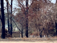 Ruine van een verbrande woning