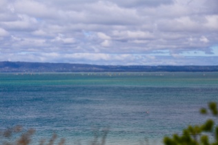 Uitzicht over de Port Phillip Bay